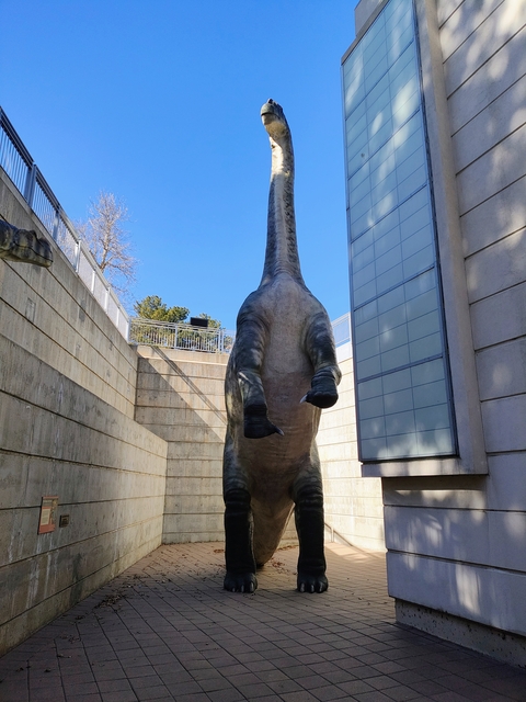 Bronto
